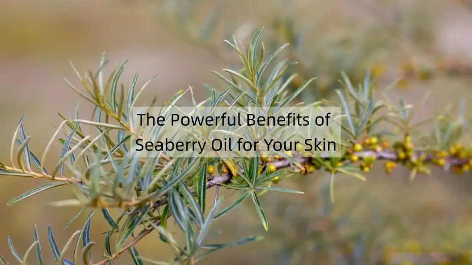 The Powerful Benefits of Seaberry Oil for Your Skin